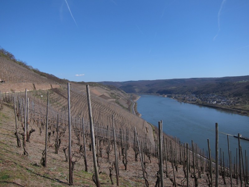 Traumpfad Rheingoldbogen