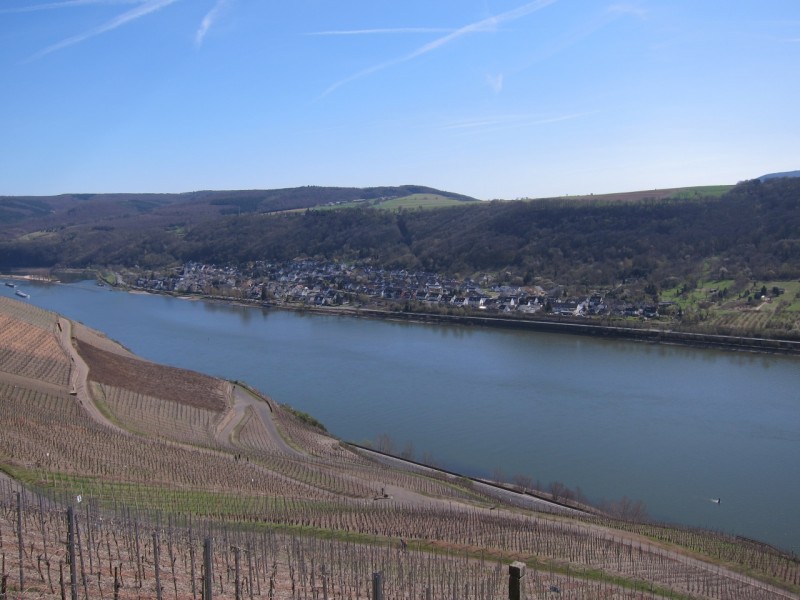 Traumpfad Rheingoldbogen