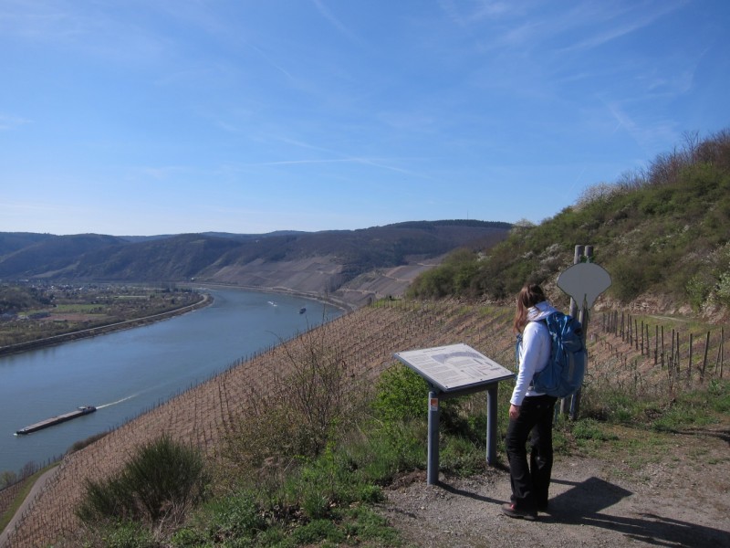 Traumpfad Rheingoldbogen