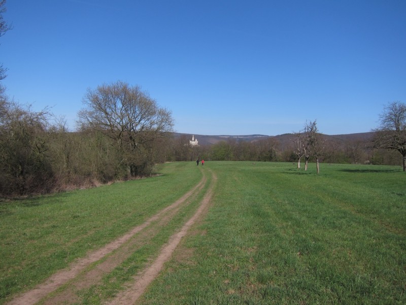 Traumpfad Rheingoldbogen