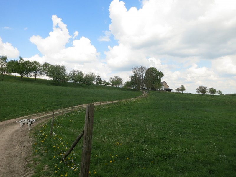 Traumpfad Schwalberstieg