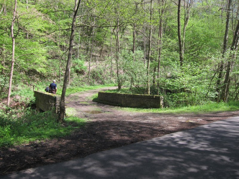 Traumpfad Schwalberstieg