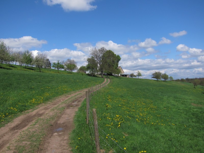 Traumpfad Schwalberstieg