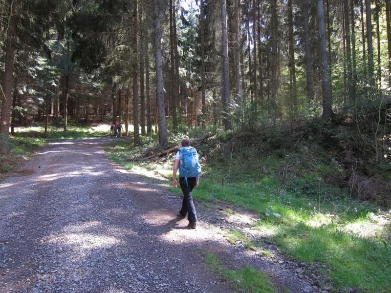 Traumpfad Schwalberstieg