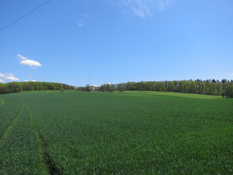 Traumpfad Schwalberstieg