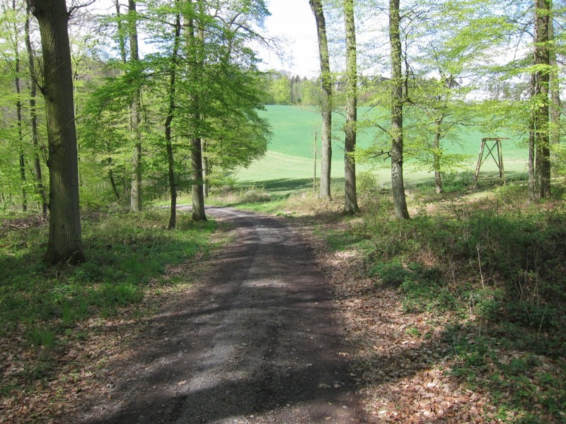 Traumpfad Schwalberstieg