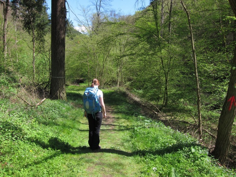 Traumpfad Schwalberstieg