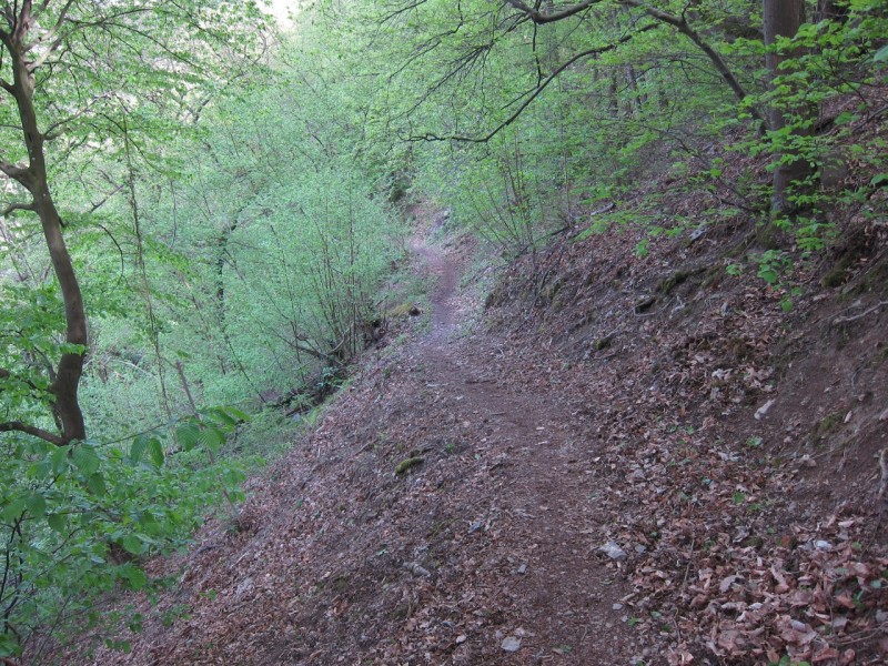 Traumpfad Schwalberstieg