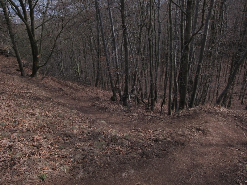 Traumpfad Vulkanpfad