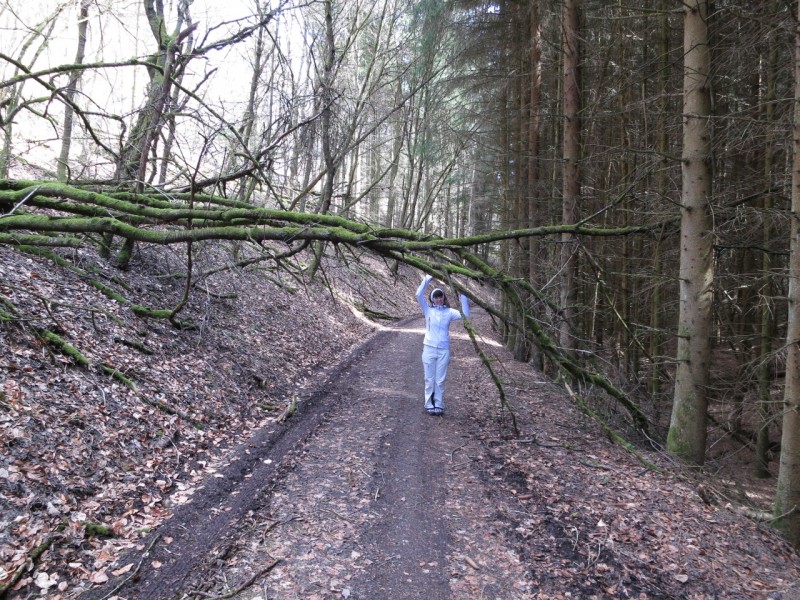 Traumpfad Wacholderweg