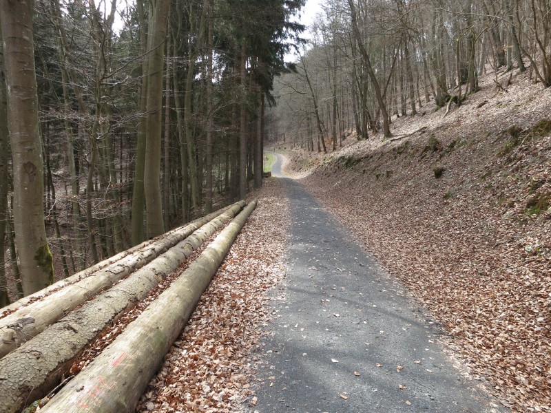 Traumpfad Wacholderweg