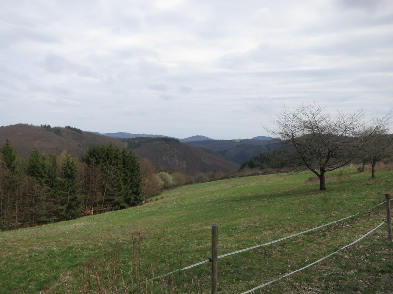 Traumpfad Wacholderweg
