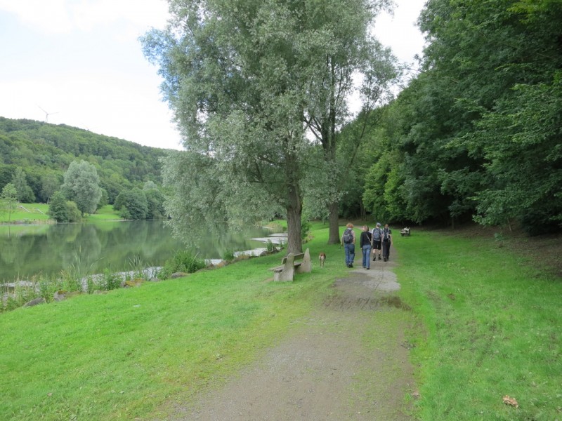 Traumpfad Waldseepfad Rieden