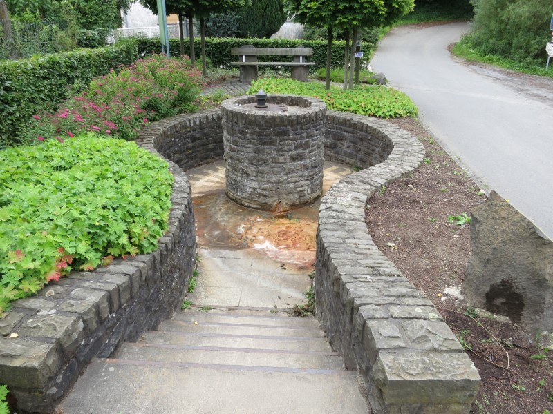 Traumpfad Waldseepfad Rieden