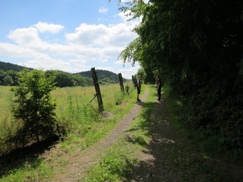 Traumpfad Waldseepfad Rieden