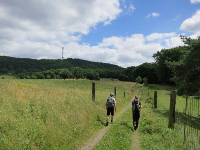 Traumpfad Waldseepfad Rieden