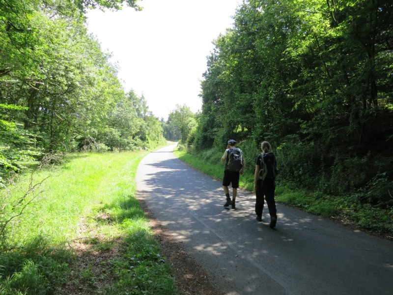 Traumpfad Waldseepfad Rieden