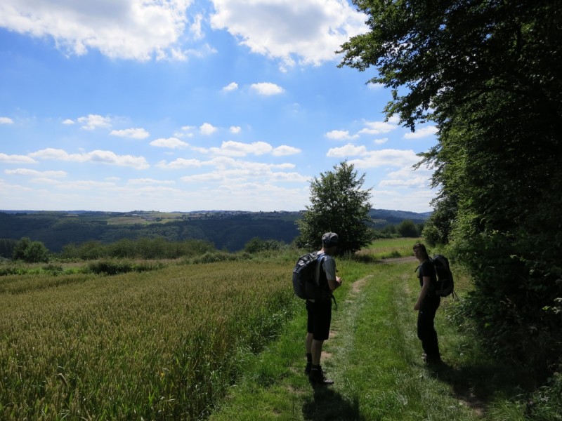 Traumpfad Waldseepfad Rieden