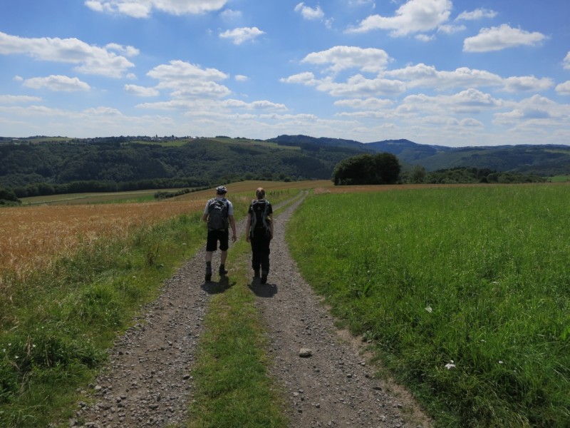 Traumpfad Waldseepfad Rieden