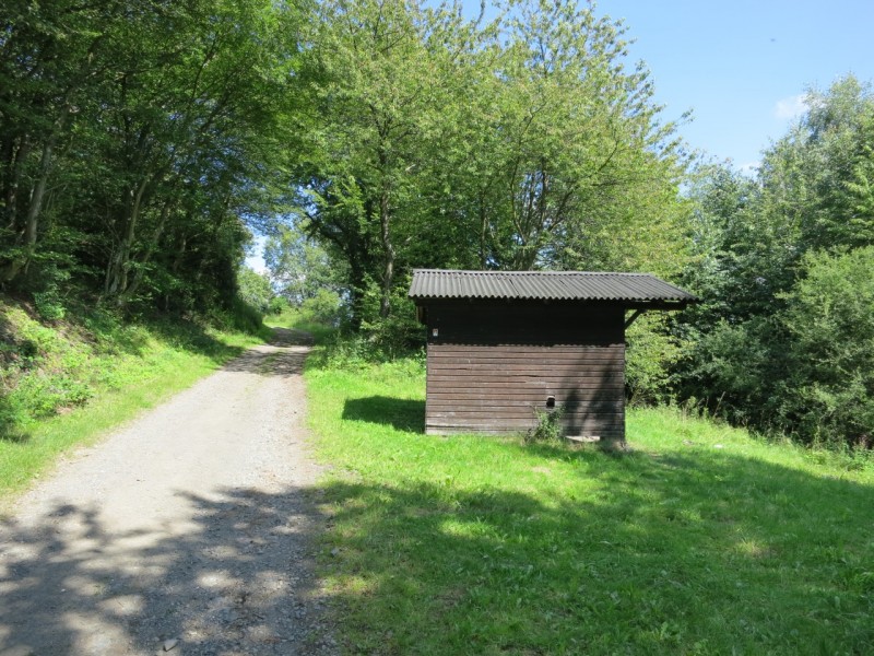 Traumpfad Waldseepfad Rieden