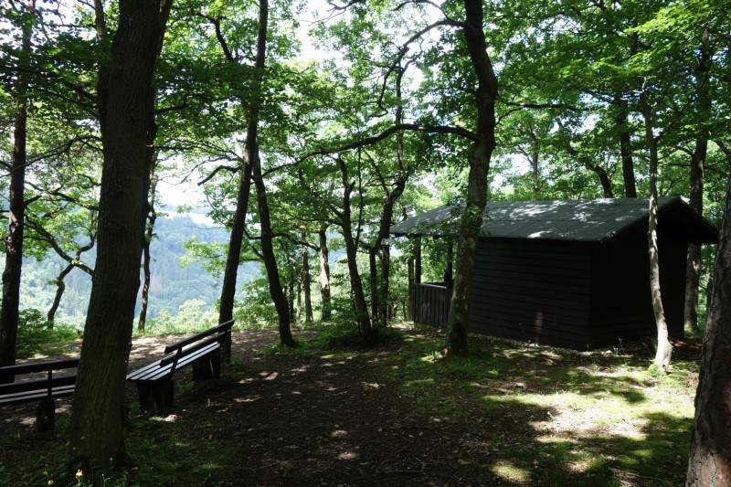 Traumschleife Ehrbachklamm mit Rauschenburg Ruine