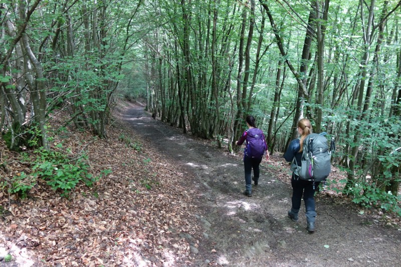 Traumschleife Ehrbachklamm mit Rauschenburg Ruine