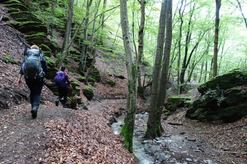 Traumschleife Ehrbachklamm mit Rauschenburg Ruine