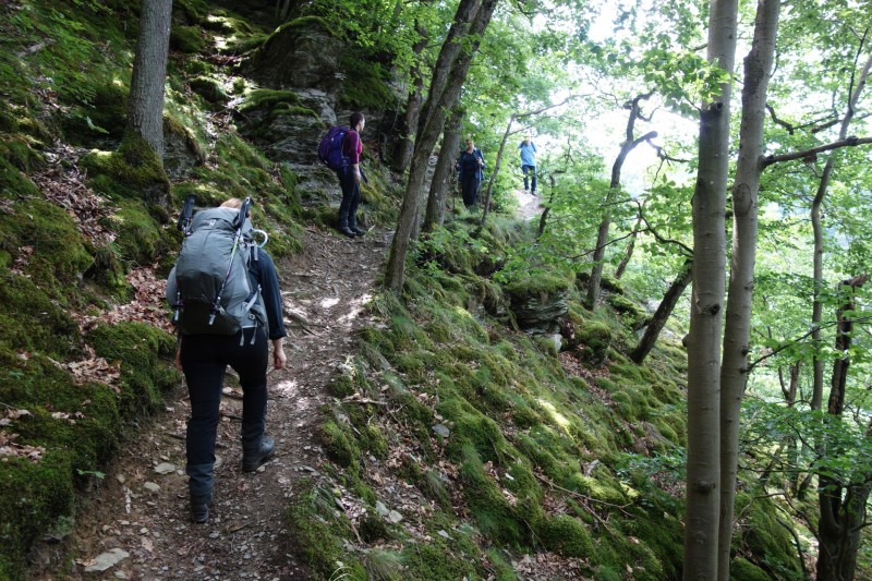 Traumschleife Ehrbachklamm mit Rauschenburg Ruine