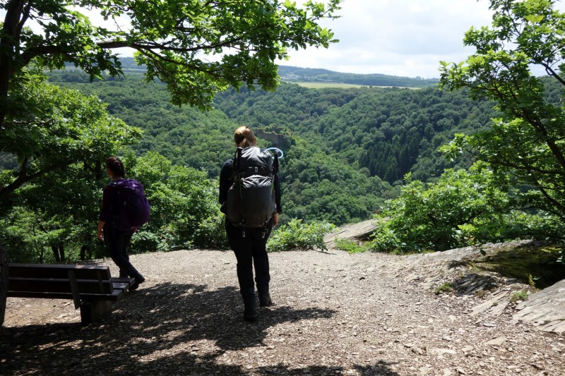 Traumschleife Ehrbachklamm mit Rauschenburg Ruine