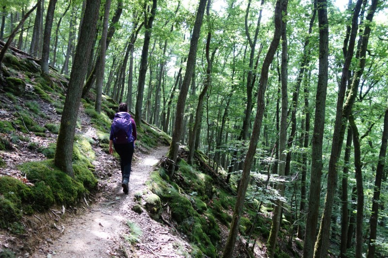 Traumschleife Ehrbachklamm mit Rauschenburg Ruine