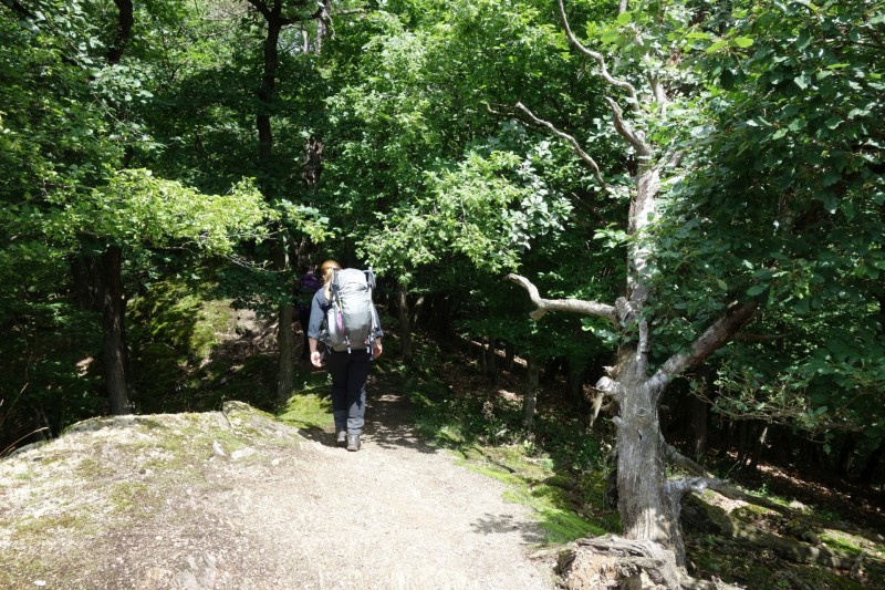 Traumschleife Ehrbachklamm mit Rauschenburg Ruine