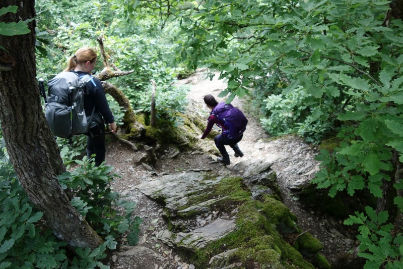 Traumschleife Ehrbachklamm mit Rauschenburg Ruine