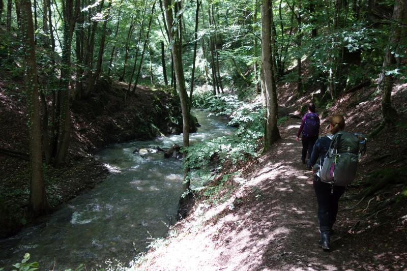Traumschleife Ehrbachklamm mit Rauschenburg Ruine