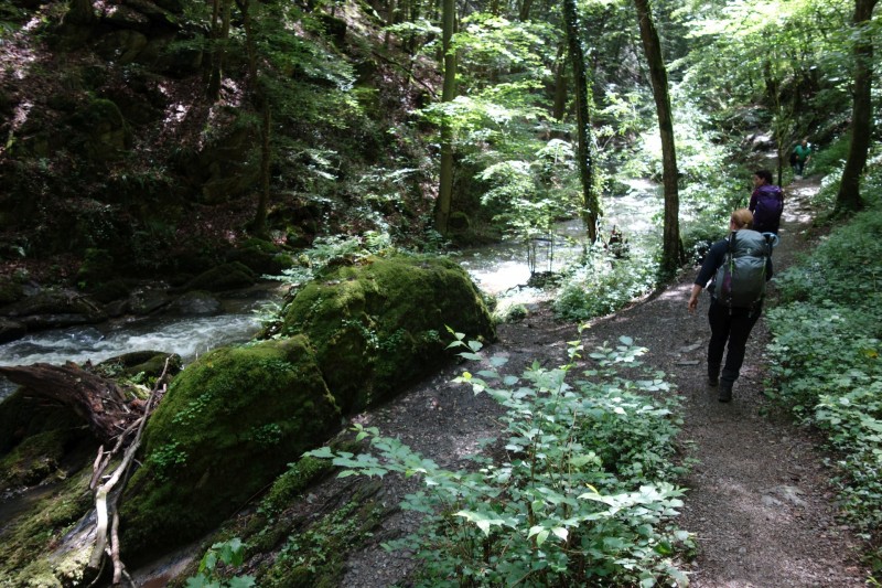 Traumschleife Ehrbachklamm mit Rauschenburg Ruine