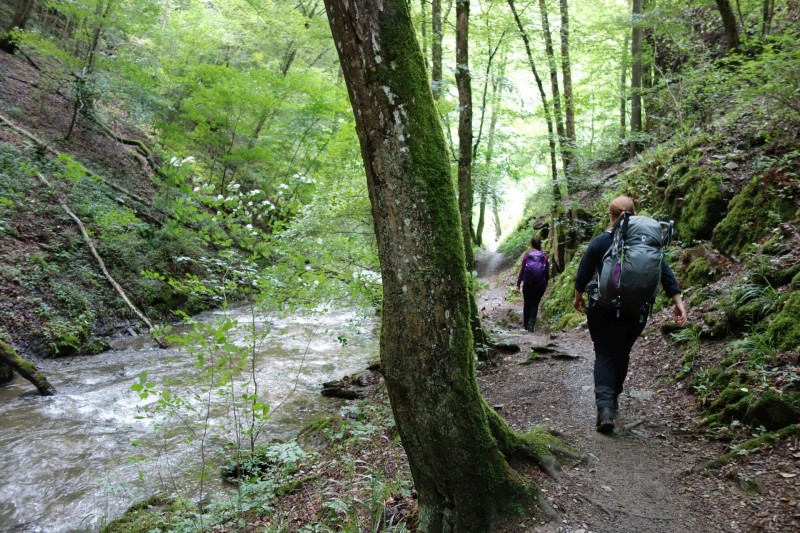 Traumschleife Ehrbachklamm mit Rauschenburg Ruine