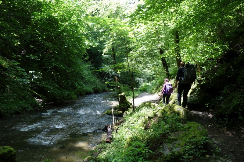 Traumschleife Ehrbachklamm mit Rauschenburg Ruine