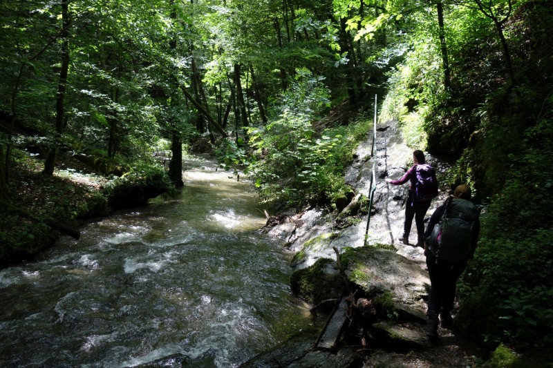 Traumschleife Ehrbachklamm mit Rauschenburg Ruine