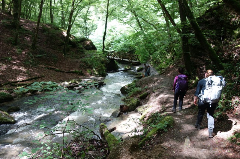 Traumschleife Ehrbachklamm mit Rauschenburg Ruine