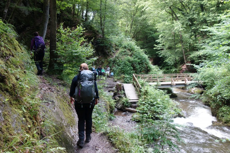 Traumschleife Ehrbachklamm mit Rauschenburg Ruine