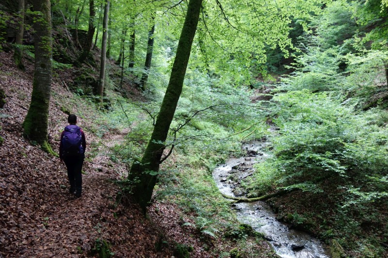 Traumschleife Ehrbachklamm mit Rauschenburg Ruine