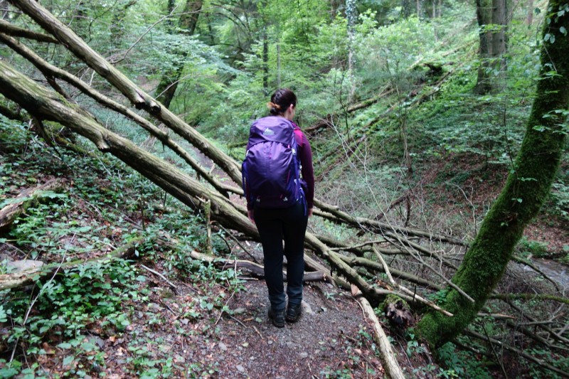 Traumschleife Ehrbachklamm mit Rauschenburg Ruine