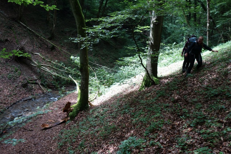 Traumschleife Ehrbachklamm mit Rauschenburg Ruine