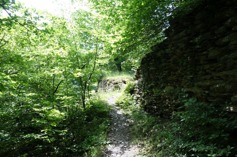 Traumschleife Ehrbachklamm mit Rauschenburg Ruine
