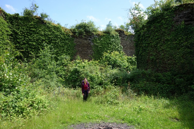 Traumschleife Ehrbachklamm mit Rauschenburg Ruine
