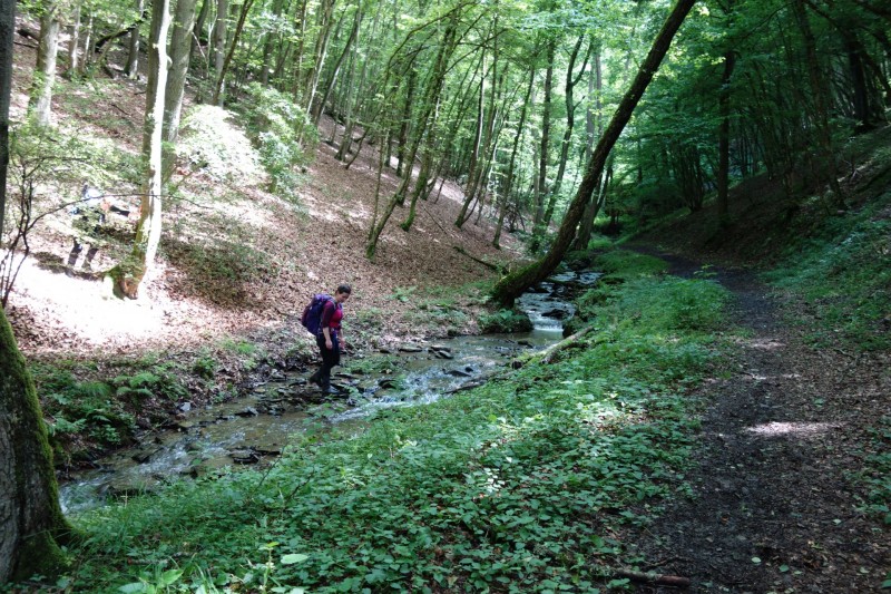 Traumschleife Ehrbachklamm mit Rauschenburg Ruine