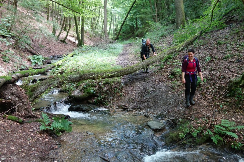 Traumschleife Ehrbachklamm mit Rauschenburg Ruine