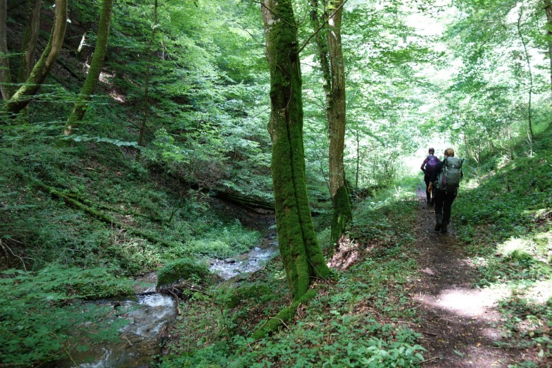 Traumschleife Ehrbachklamm mit Rauschenburg Ruine