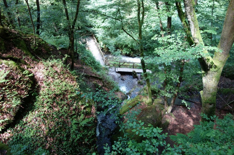 Traumschleife Ehrbachklamm mit Rauschenburg Ruine