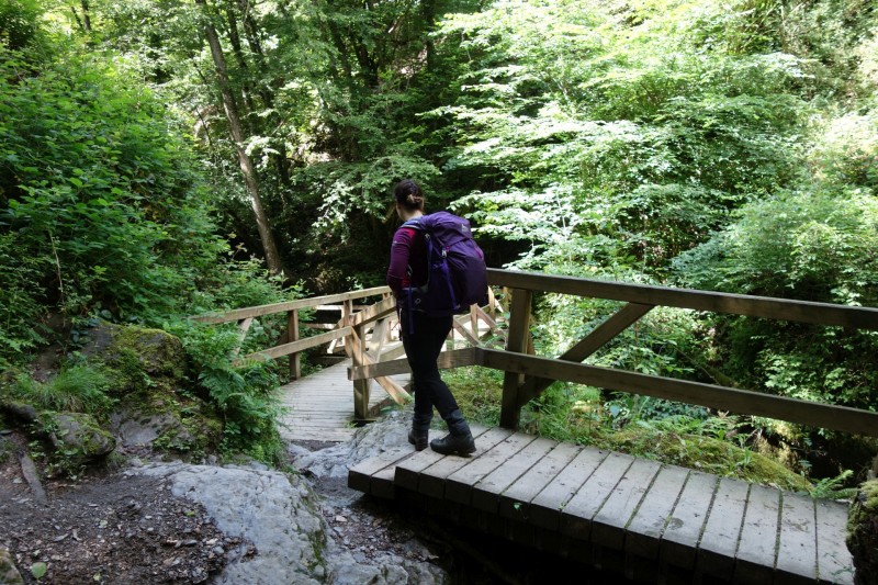 Traumschleife Ehrbachklamm mit Rauschenburg Ruine