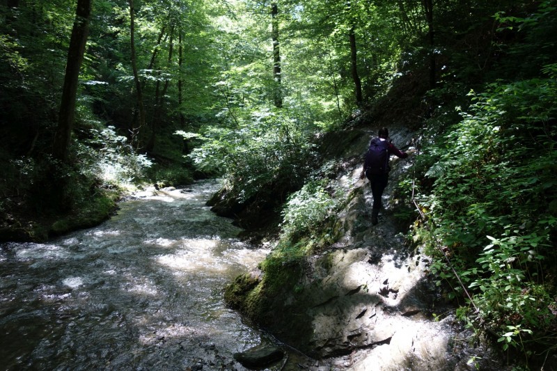 Traumschleife Ehrbachklamm mit Rauschenburg Ruine